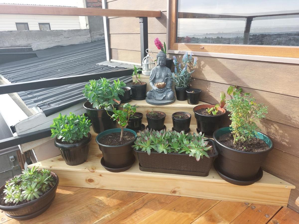 Hostal Buenavista Patagonia Punta Arenas Eksteriør billede
