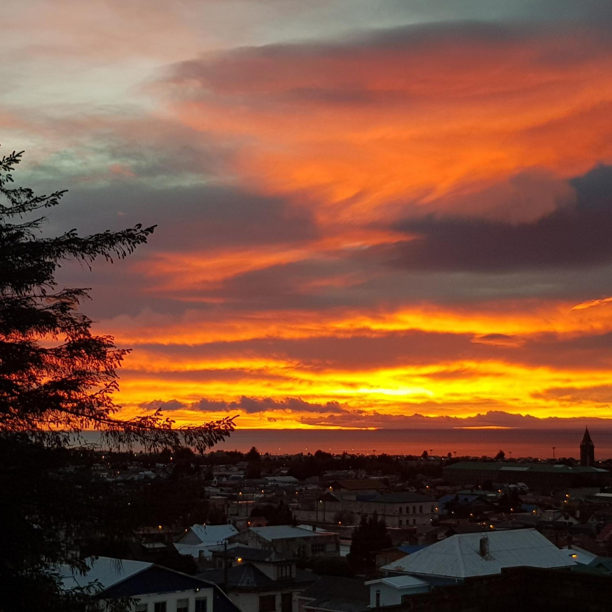Hostal Buenavista Patagonia Punta Arenas Eksteriør billede